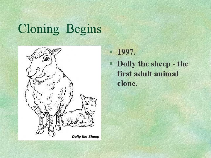 Cloning Begins § 1997. § Dolly the sheep - the first adult animal clone.