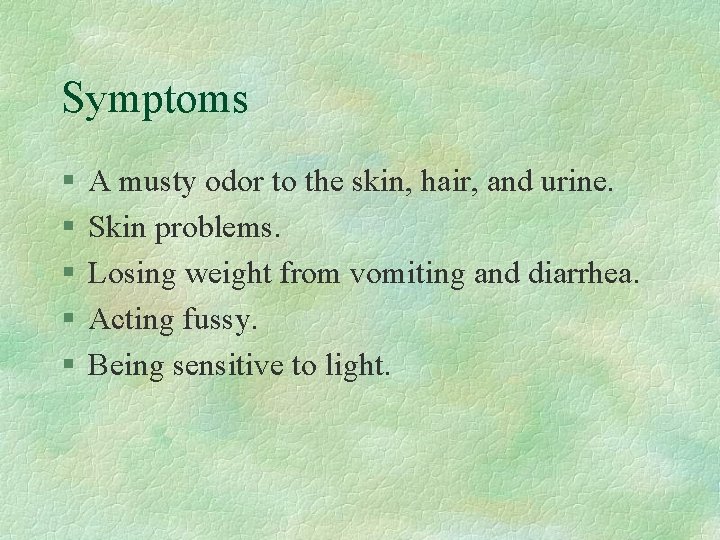 Symptoms § § § A musty odor to the skin, hair, and urine. Skin