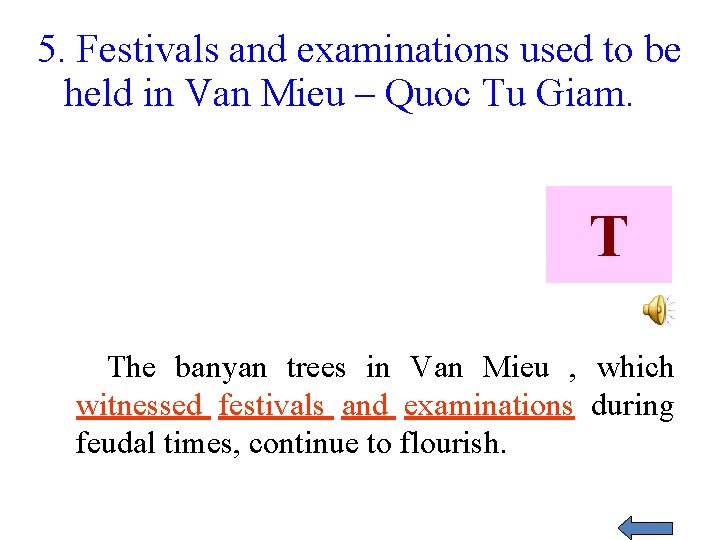 5. Festivals and examinations used to be held in Van Mieu – Quoc Tu