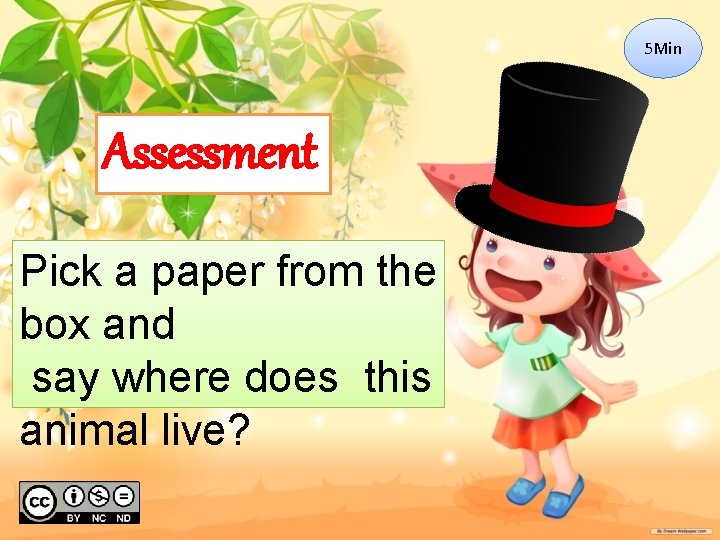 5 Min Assessment Pick a paper from the box and say where does this