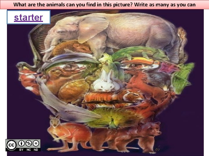What are the animals can you find in this picture? Write as many as