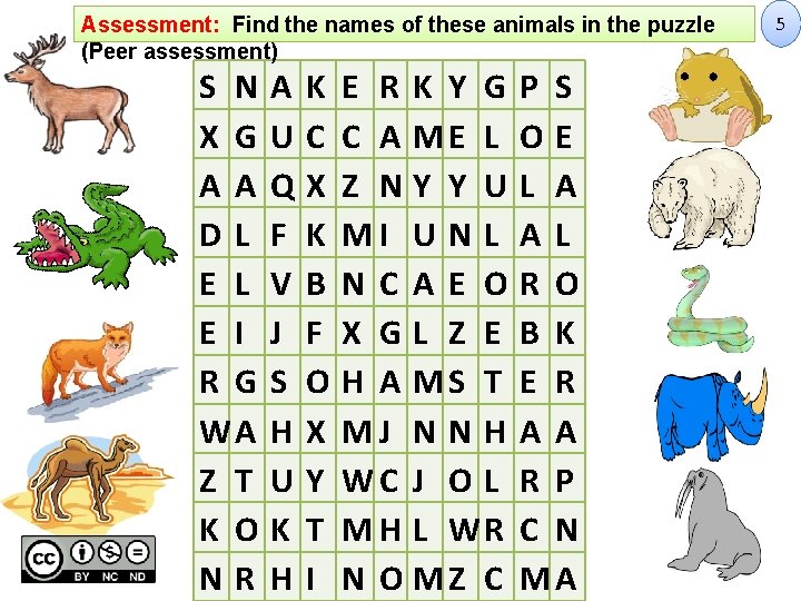 Assessment: Find the names of these animals in the puzzle (Peer assessment) S N