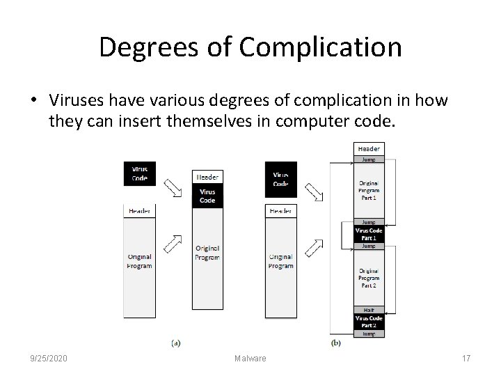 Degrees of Complication • Viruses have various degrees of complication in how they can