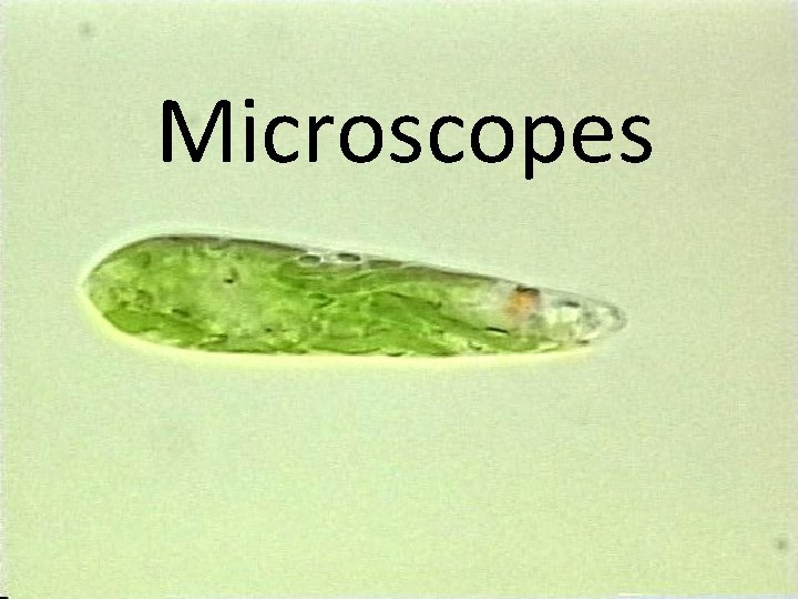 Microscopes 