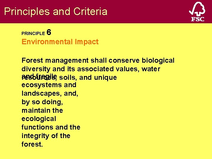 Fsc 10 Principles The Forest Stewardship Council A Developing Country Perspective