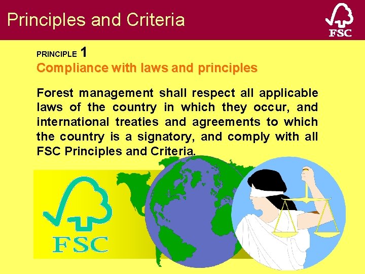 Fsc 10 Principles The Forest Stewardship Council A Developing Country Perspective