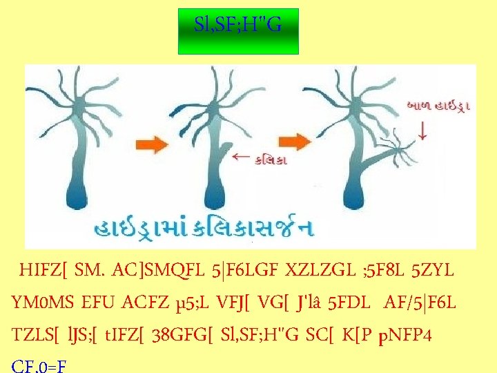 L J 7 Fg Vg 8sgm M Wmz