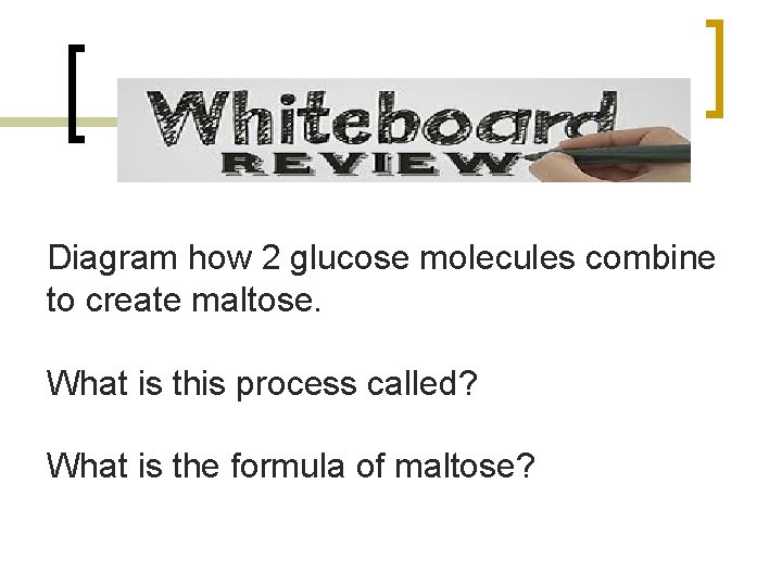 Diagram how 2 glucose molecules combine to create maltose. What is this process called?