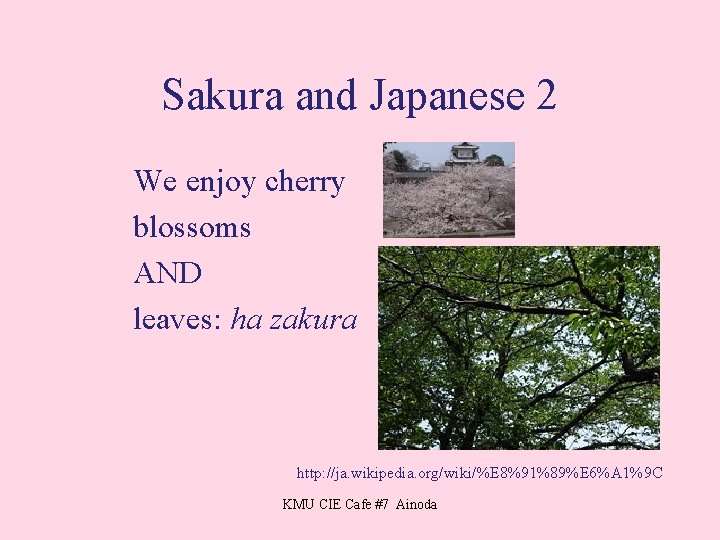 Sakura and Japanese 2 We enjoy cherry blossoms AND leaves: ha zakura http: //ja.