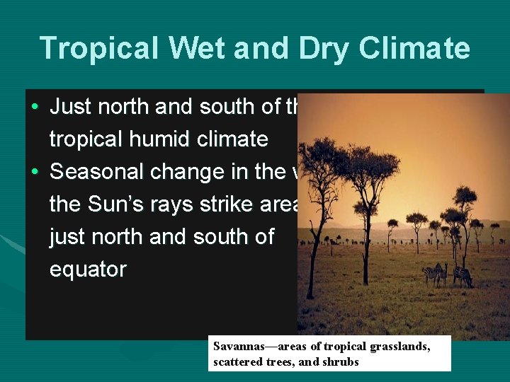 Tropical Wet and Dry Climate • Just north and south of the tropical humid