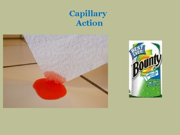 Capillary Action 