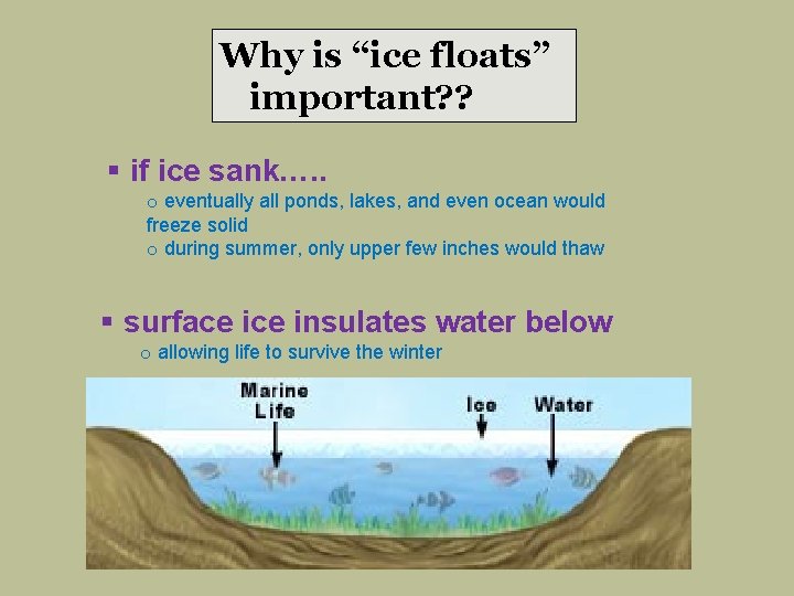 Why is “ice floats” important? ? § if ice sank…. . o eventually all