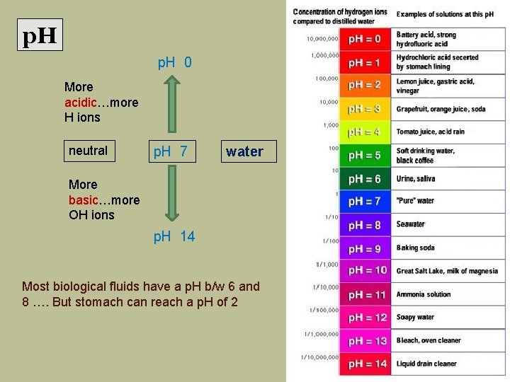 p. H 0 More acidic…more H ions neutral p. H 7 water More basic…more