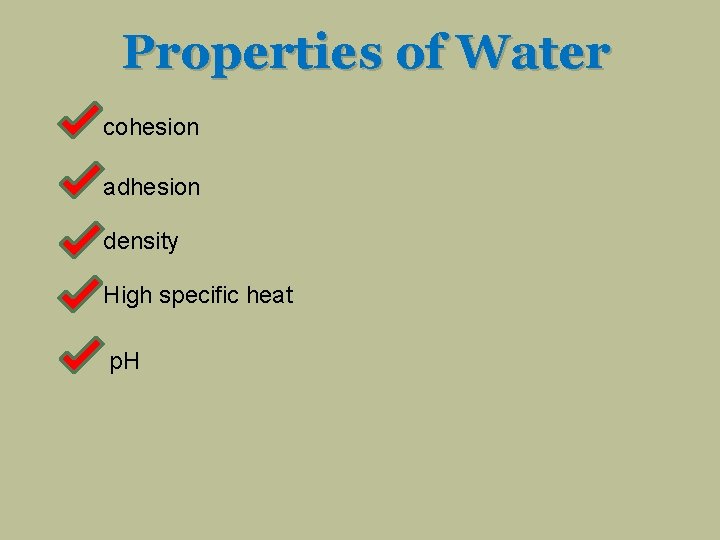 Properties of Water cohesion adhesion density High specific heat p. H 