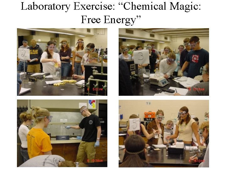 Laboratory Exercise: “Chemical Magic: Free Energy” 