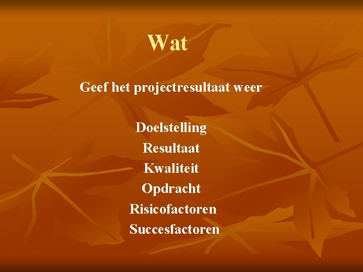 Wat Geef het projectresultaat weer Doelstelling Resultaat Kwaliteit Opdracht Risicofactoren Succesfactoren 