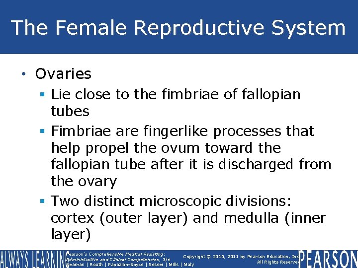 The Female Reproductive System • Ovaries § Lie close to the fimbriae of fallopian The Female Reproductive System • Ovaries § Lie close to the fimbriae of fallopian