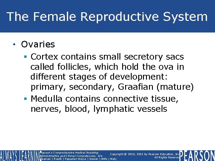 The Female Reproductive System • Ovaries § Cortex contains small secretory sacs called follicles, The Female Reproductive System • Ovaries § Cortex contains small secretory sacs called follicles,