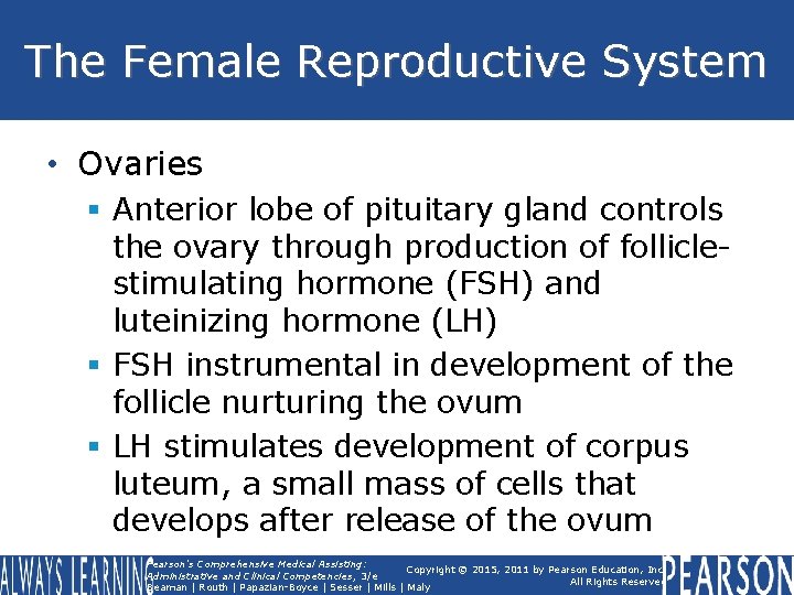 The Female Reproductive System • Ovaries § Anterior lobe of pituitary gland controls the The Female Reproductive System • Ovaries § Anterior lobe of pituitary gland controls the