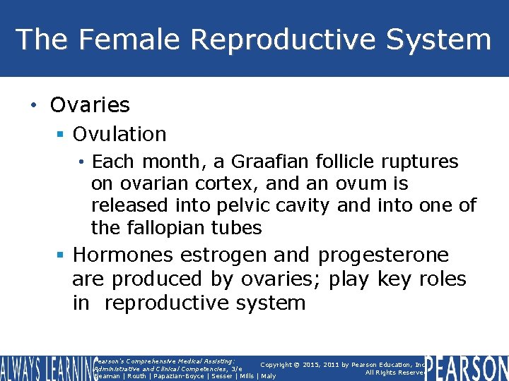 The Female Reproductive System • Ovaries § Ovulation • Each month, a Graafian follicle The Female Reproductive System • Ovaries § Ovulation • Each month, a Graafian follicle