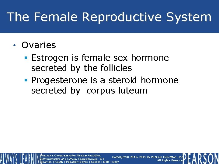 The Female Reproductive System • Ovaries § Estrogen is female sex hormone secreted by The Female Reproductive System • Ovaries § Estrogen is female sex hormone secreted by