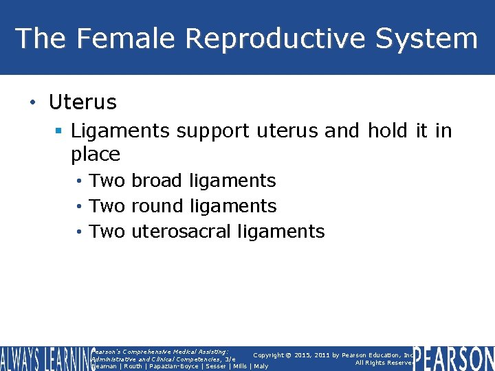 The Female Reproductive System • Uterus § Ligaments support uterus and hold it in The Female Reproductive System • Uterus § Ligaments support uterus and hold it in