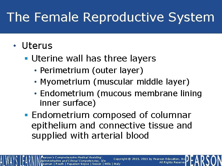 The Female Reproductive System • Uterus § Uterine wall has three layers • Perimetrium The Female Reproductive System • Uterus § Uterine wall has three layers • Perimetrium