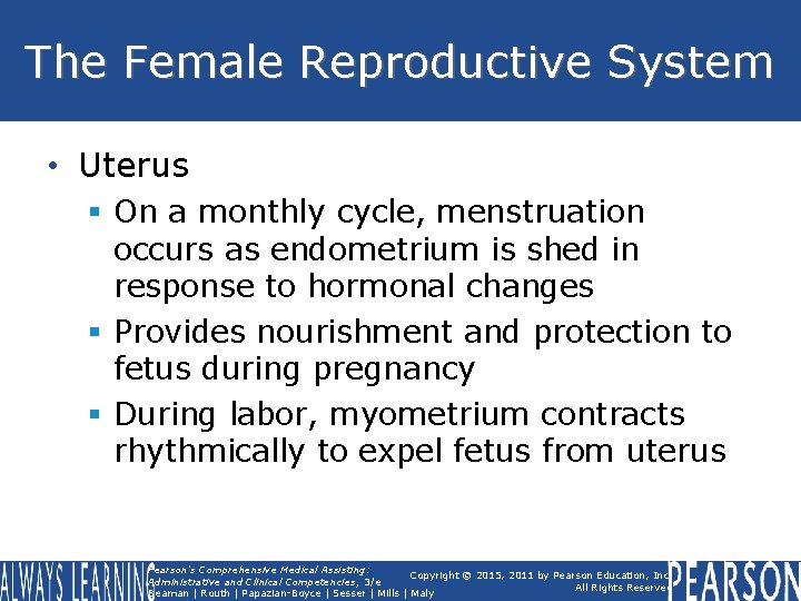 The Female Reproductive System • Uterus § On a monthly cycle, menstruation occurs as The Female Reproductive System • Uterus § On a monthly cycle, menstruation occurs as