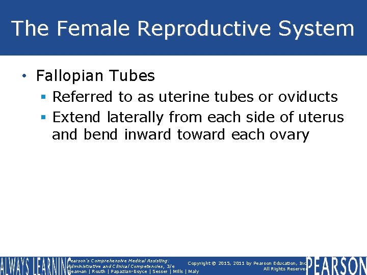 The Female Reproductive System • Fallopian Tubes § Referred to as uterine tubes or The Female Reproductive System • Fallopian Tubes § Referred to as uterine tubes or