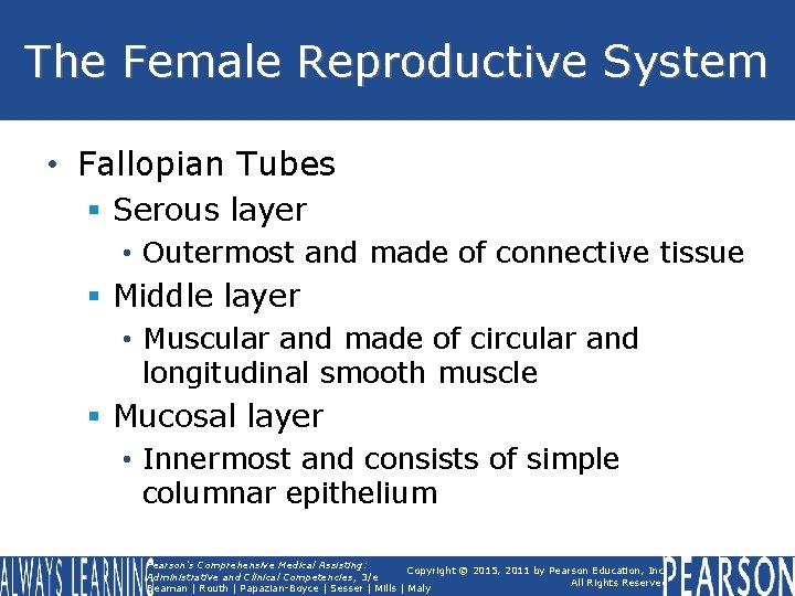 The Female Reproductive System • Fallopian Tubes § Serous layer • Outermost and made The Female Reproductive System • Fallopian Tubes § Serous layer • Outermost and made