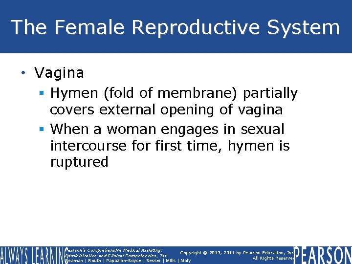The Female Reproductive System • Vagina § Hymen (fold of membrane) partially covers external The Female Reproductive System • Vagina § Hymen (fold of membrane) partially covers external