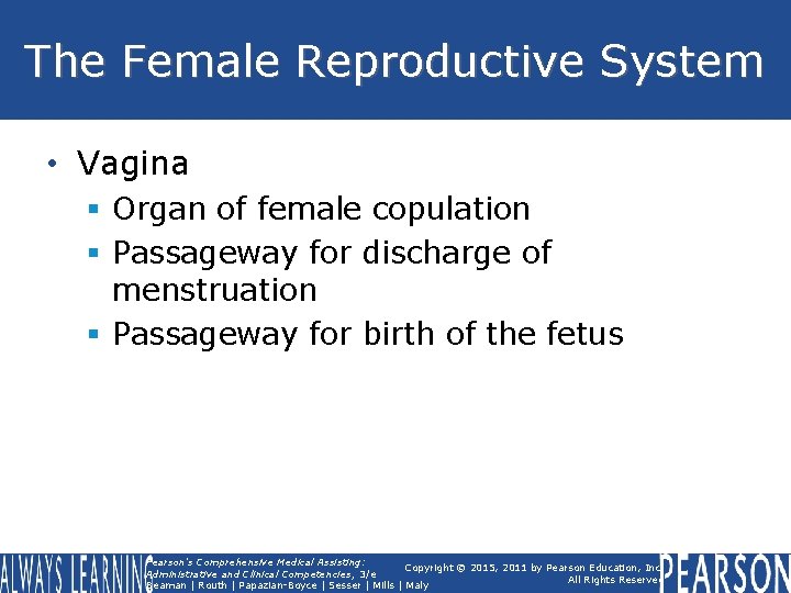 The Female Reproductive System • Vagina § Organ of female copulation § Passageway for The Female Reproductive System • Vagina § Organ of female copulation § Passageway for