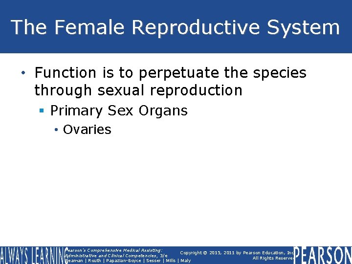 The Female Reproductive System • Function is to perpetuate the species through sexual reproduction The Female Reproductive System • Function is to perpetuate the species through sexual reproduction