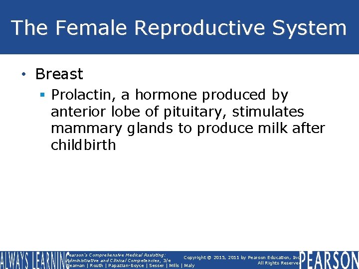 The Female Reproductive System • Breast § Prolactin, a hormone produced by anterior lobe The Female Reproductive System • Breast § Prolactin, a hormone produced by anterior lobe