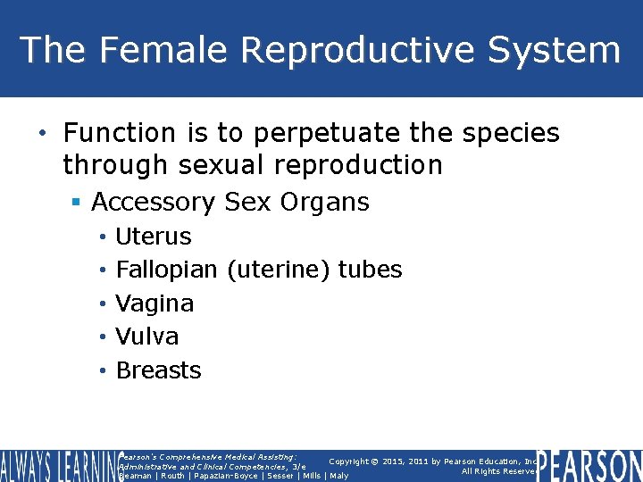 The Female Reproductive System • Function is to perpetuate the species through sexual reproduction The Female Reproductive System • Function is to perpetuate the species through sexual reproduction