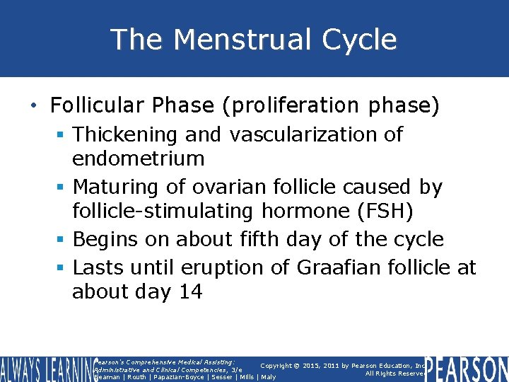 The Menstrual Cycle • Follicular Phase (proliferation phase) § Thickening and vascularization of endometrium The Menstrual Cycle • Follicular Phase (proliferation phase) § Thickening and vascularization of endometrium