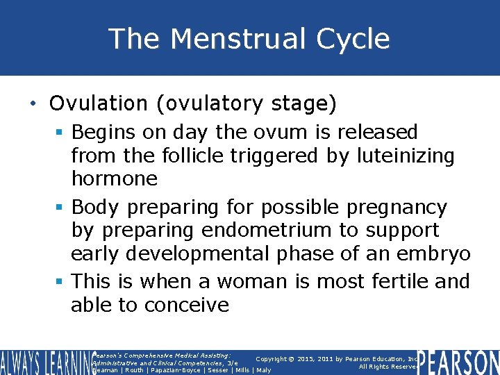The Menstrual Cycle • Ovulation (ovulatory stage) § Begins on day the ovum is The Menstrual Cycle • Ovulation (ovulatory stage) § Begins on day the ovum is