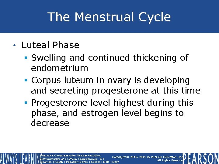 The Menstrual Cycle • Luteal Phase § Swelling and continued thickening of endometrium § The Menstrual Cycle • Luteal Phase § Swelling and continued thickening of endometrium §