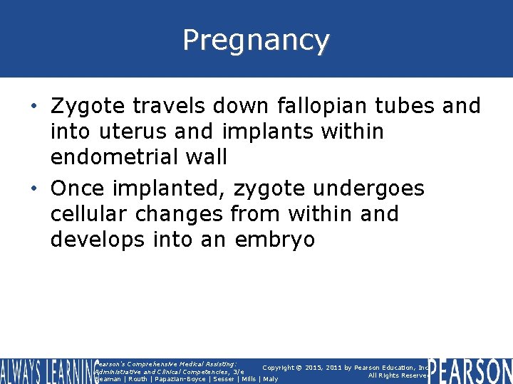 Pregnancy • Zygote travels down fallopian tubes and into uterus and implants within endometrial Pregnancy • Zygote travels down fallopian tubes and into uterus and implants within endometrial
