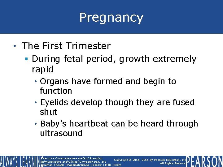 Pregnancy • The First Trimester § During fetal period, growth extremely rapid • Organs Pregnancy • The First Trimester § During fetal period, growth extremely rapid • Organs