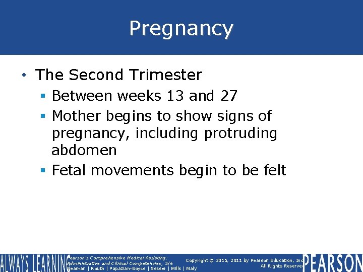 Pregnancy • The Second Trimester § Between weeks 13 and 27 § Mother begins Pregnancy • The Second Trimester § Between weeks 13 and 27 § Mother begins