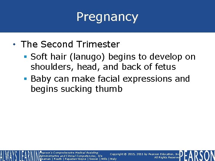 Pregnancy • The Second Trimester § Soft hair (lanugo) begins to develop on shoulders, Pregnancy • The Second Trimester § Soft hair (lanugo) begins to develop on shoulders,
