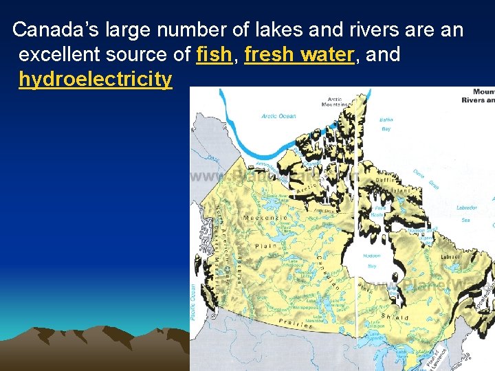 Canada’s large number of lakes and rivers are an excellent source of fish, fresh