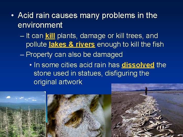  • Acid rain causes many problems in the environment – It can kill