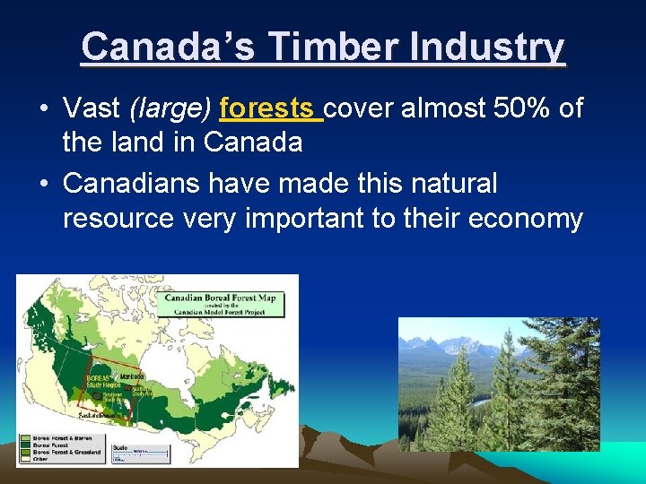 Canada’s Timber Industry • Vast (large) forests cover almost 50% of the land in