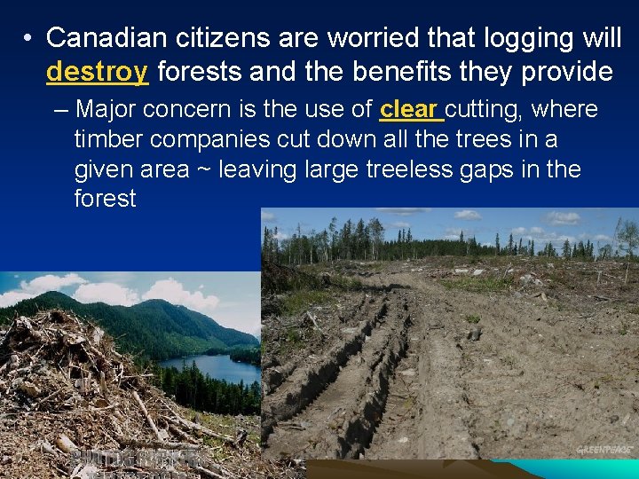  • Canadian citizens are worried that logging will destroy forests and the benefits