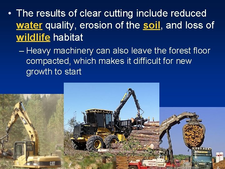  • The results of clear cutting include reduced water quality, erosion of the