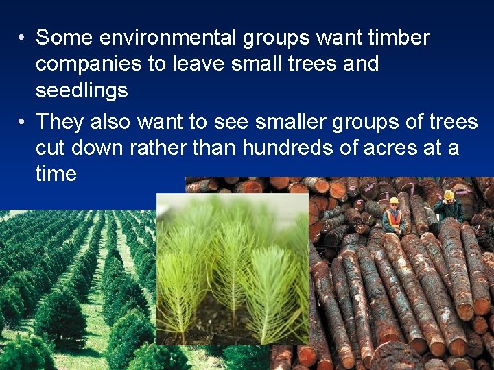  • Some environmental groups want timber companies to leave small trees and seedlings