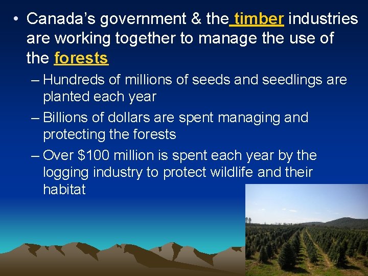  • Canada’s government & the timber industries are working together to manage the