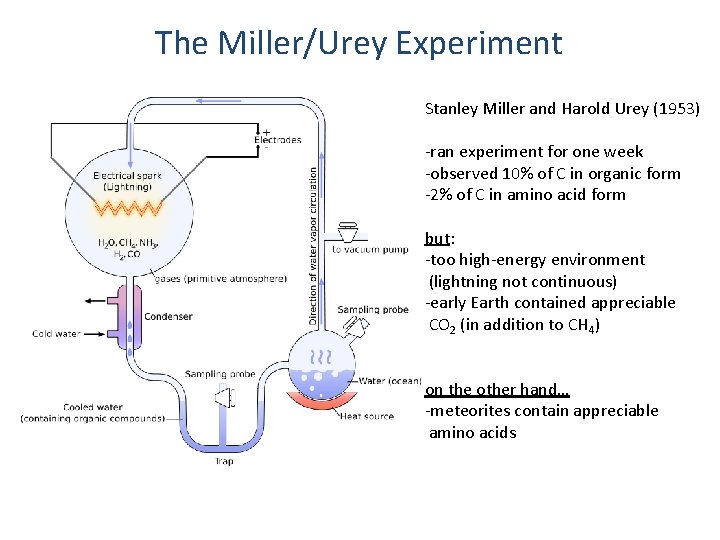 The Miller/Urey Experiment Stanley Miller and Harold Urey (1953) -ran experiment for one week